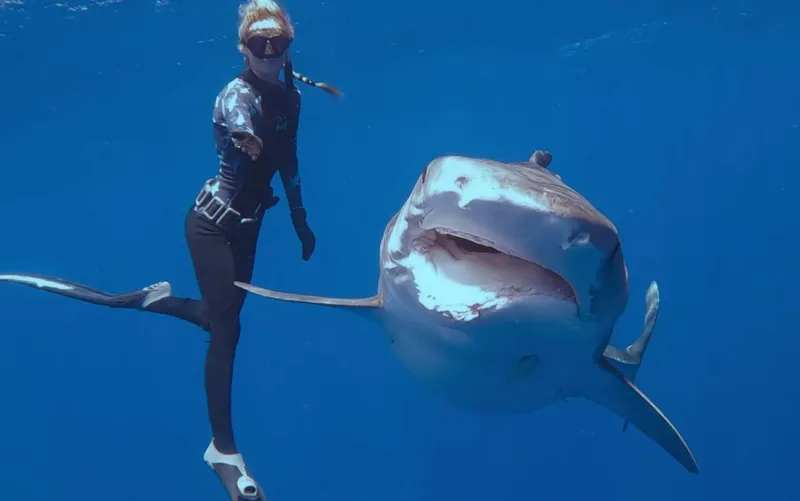 chi-ocean-ramsey-protagonista-del-documentario-shark-whisperer-su
