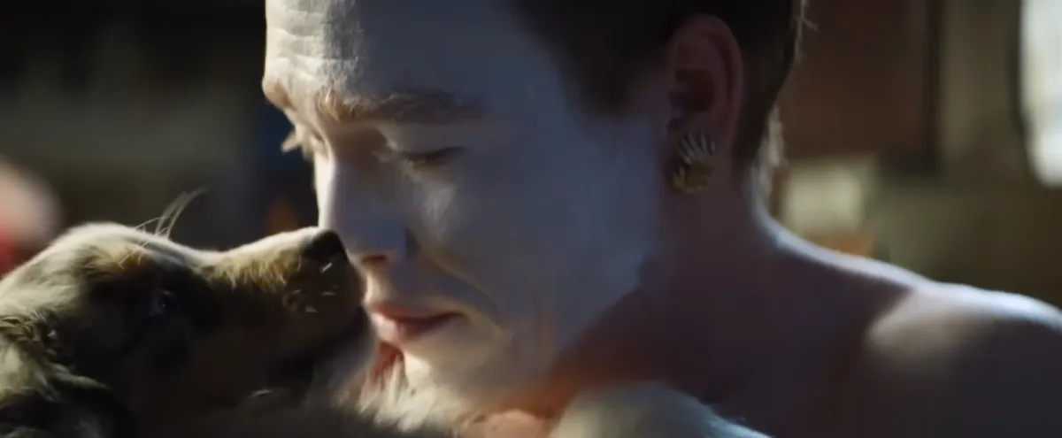 "Dogman" è una storia vera? Ecco da cosa prende ispirazione il film