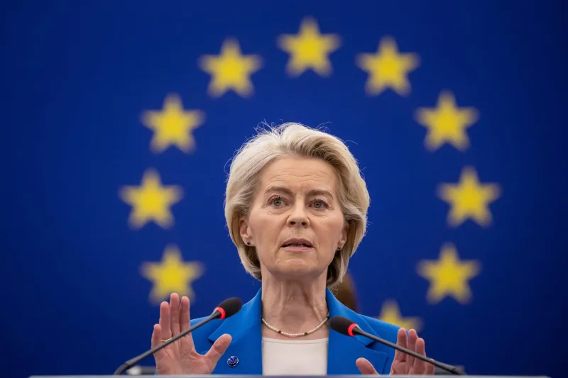 Restrizioni sulle terre rare: il moscerino europeo sfida il dragone cinese