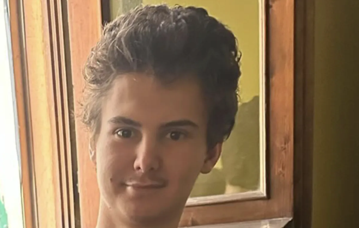 Simone Banzi scomparso da Mantova, la madre: "Ritrovato, è ricoverato in ospedale" 