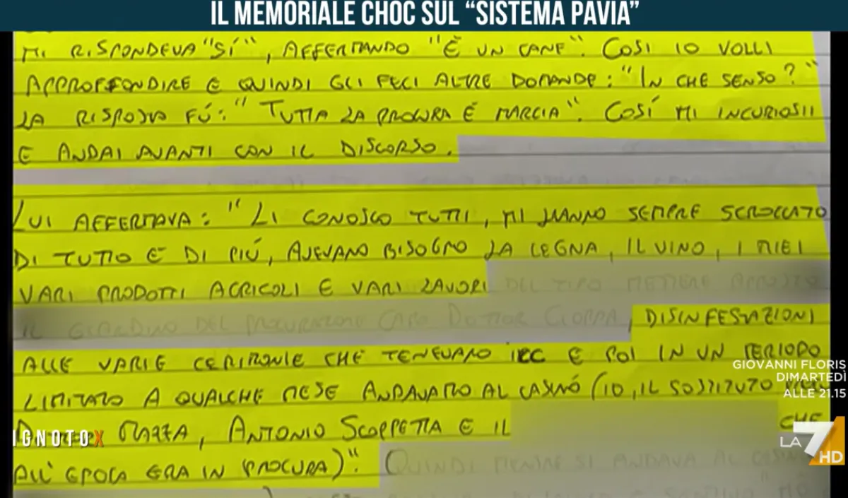 Garlasco e il "sistema Pavia": cosa c'è scritto nel secondo memoriale di Stefanescu, nipote di Savu