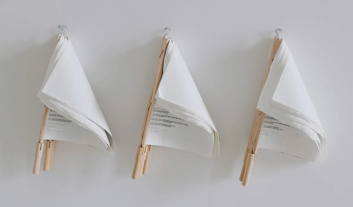 Rottamazione quinquies e unioni civili: pronta la spallata della Lega