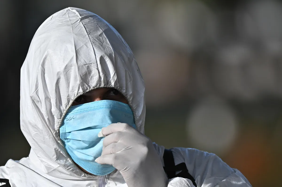 Influenza aviaria H5N5, allarme per il primo caso di contagio umano: ritorna l'incubo pandemia?