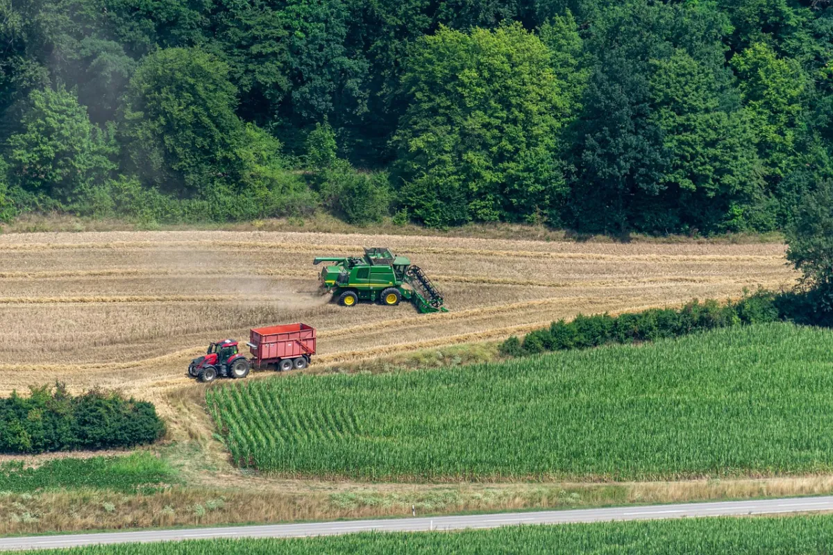 Lavoro agricolo: i dati INPS che non ti aspetti. Più giovani e stagionali, ma il clima ridisegna la mappa dell'occupazione