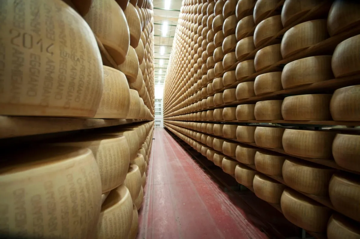 Falso Parmigiano, vino tarocco e finti prodotti bio: approvata la legge che protegge il Made in Italy 