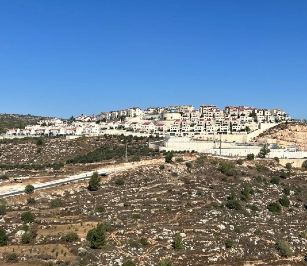 Tre volontari italiani aggrediti dai coloni in Cisgiordania: la denuncia dell'agenzia Wafa