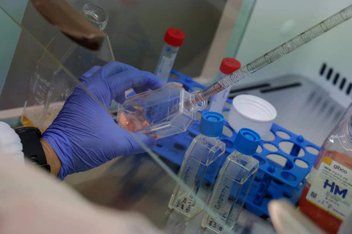 Super influenza, il virus che sta travolgendo l’Inghilterra corre più veloce del previsto. L’Europa è pronta?