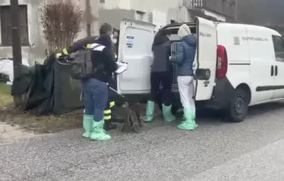 Tragedia a Udine, chi era Flavio Micelli, trovato morto in casa: "Sul corpo quattro grossi cani"