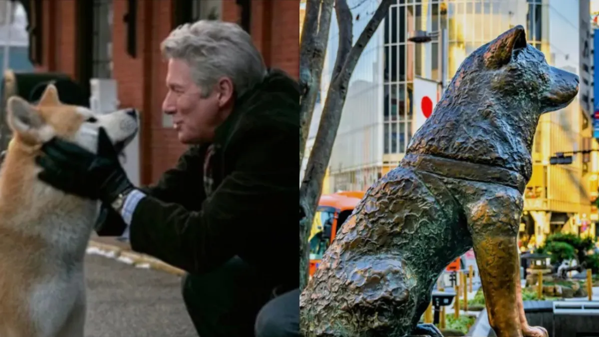 Il film “Hachiko” è ispirato a una storia vera? Dove si trova la statua del cane oggi
