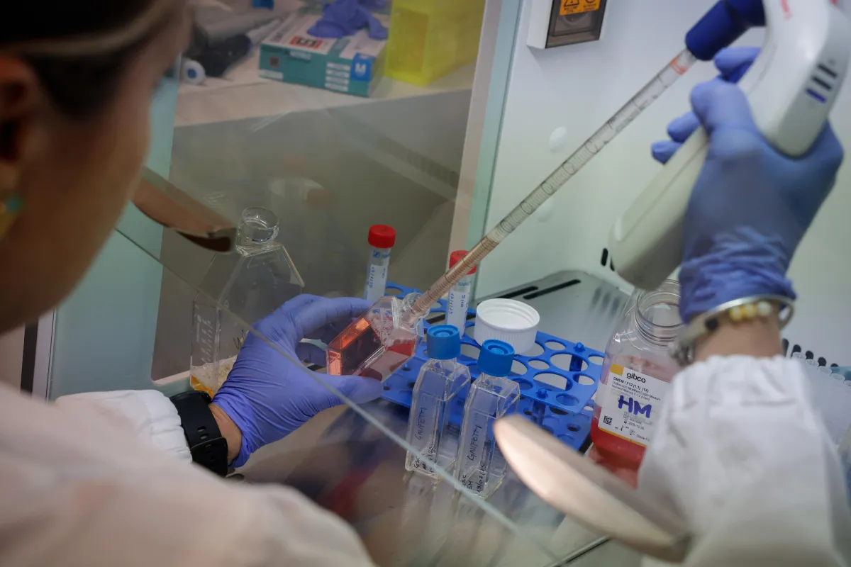 Influenza record sotto Natale: quasi 5 milioni di italiani colpiti, bambini i più vulnerabili 