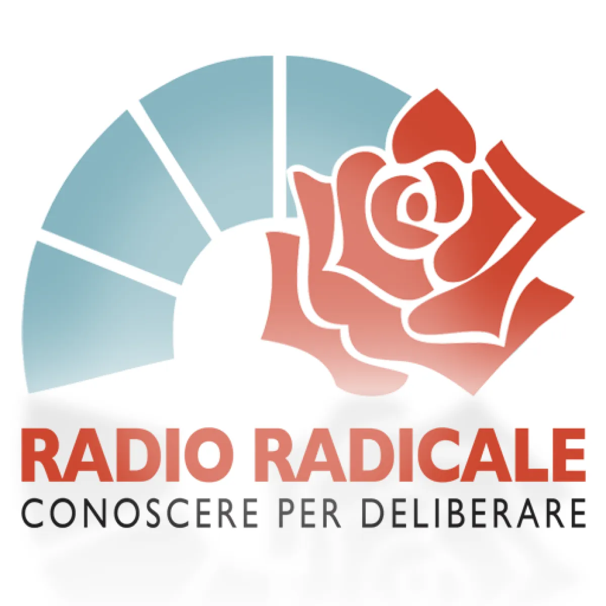 Verso i 50 anni di Radio Radicale, un’istituzione nel mondo della politica e della comunicazione