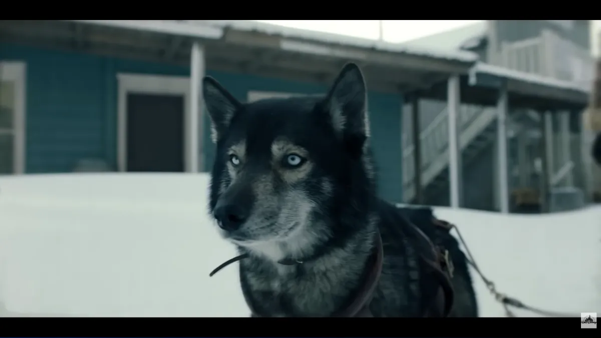 "Togo" come finisce? Ecco la trama e tutte le location del film