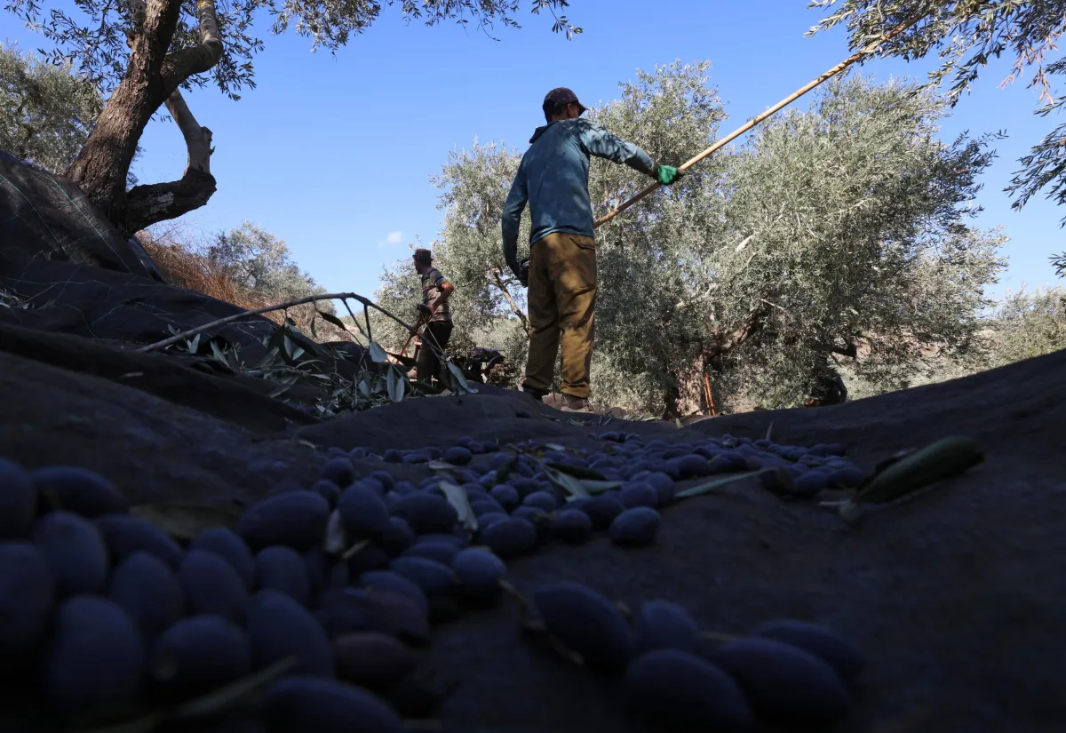 Israele approva la registrazione dei terreni in Cisgiordania: le reazioni