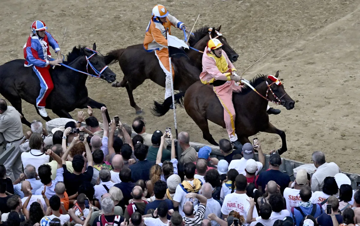Brambilla contro l’uso dei cavalli nei palii