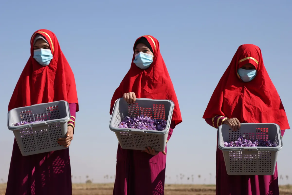 La condizione delle donne in Afghanistan: il quadro dopo il ritorno dei Talebani 
