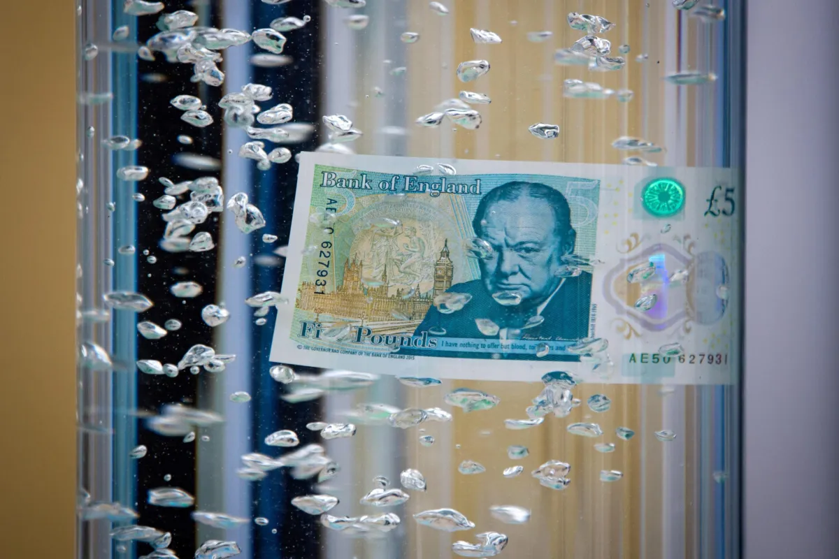 Il Regno Unito rivoluziona le banconote: addio a Winston Churchill, spazio alla fauna selvatica