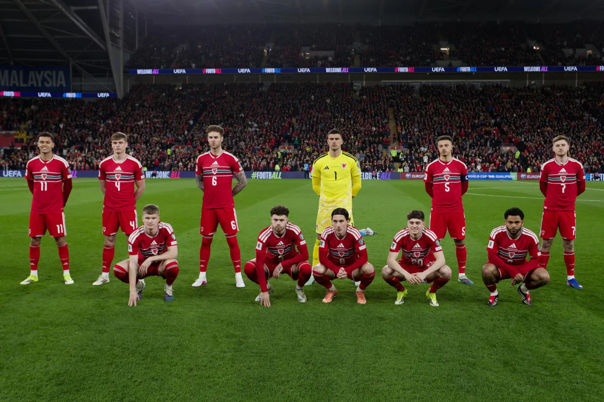 Quante volte la Bosnia ha giocato un Mondiale? Storie e partecipazione