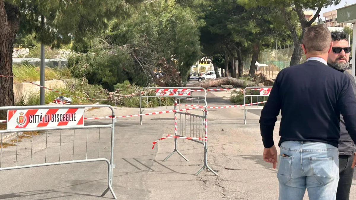 Doppia tragedia in Puglia per il forte vento: morti una 12enne e un operaio colpito da un palo