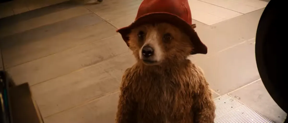 "Paddington 4" finalmente confermato: il quarto film dell’orsetto è in fase di sviluppo