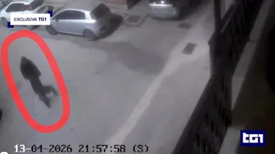 Dino Carta ucciso a Foggia, analisi sul caricatore del killer. Lutto cittadino per i funerali