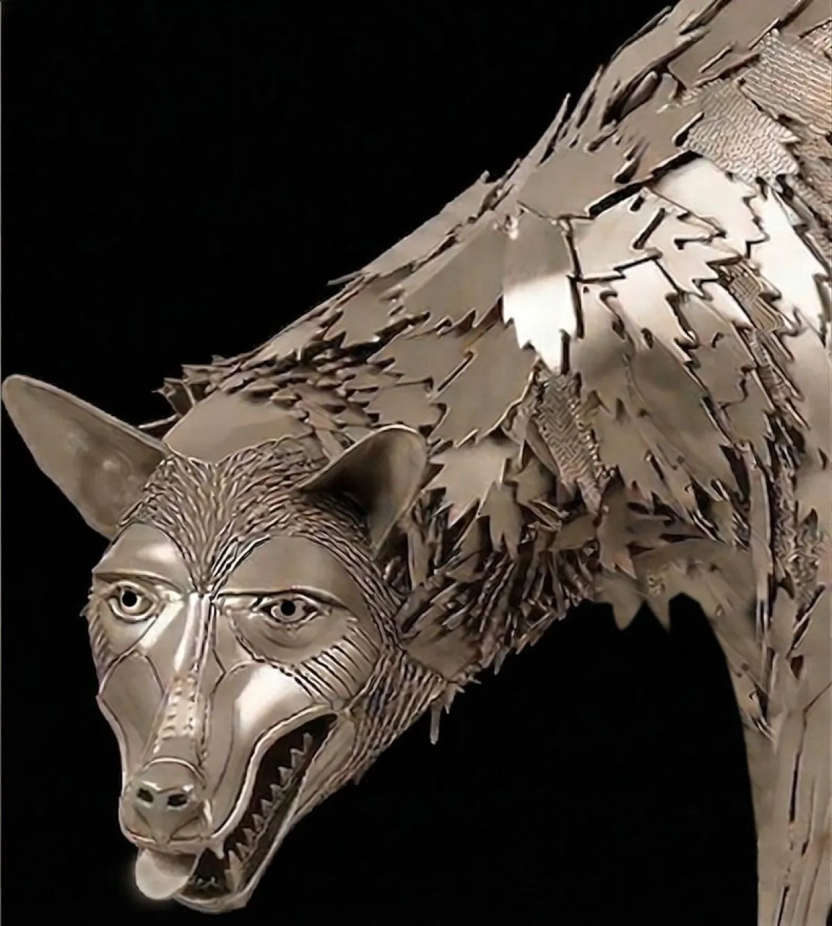 Una lupa fa litigare Siena