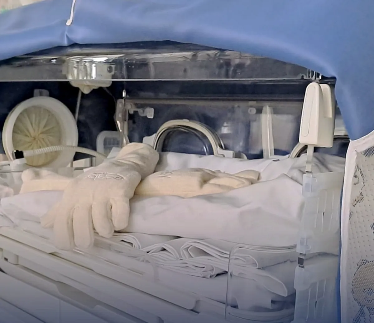 Orlando, 12 anni, campione di generosità silenziosa