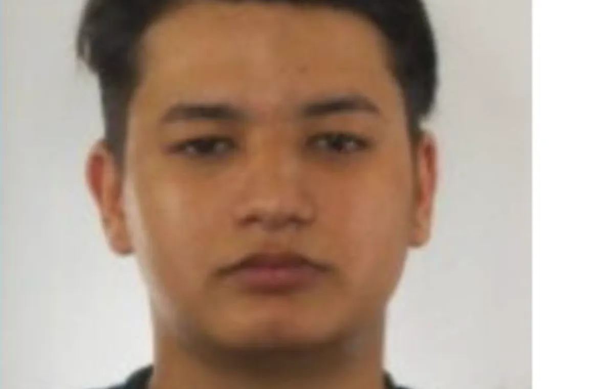 Vlad Andrei Tarineanu scomparso a Roma, il Comitato: "Chi lo vede contatti subito il 112"