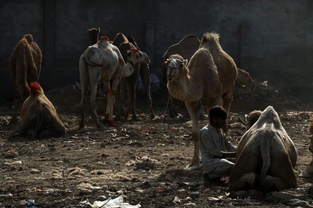 Mentre il mondo guarda Islamabad: una mattanza segreta si consuma al buio di Teheran