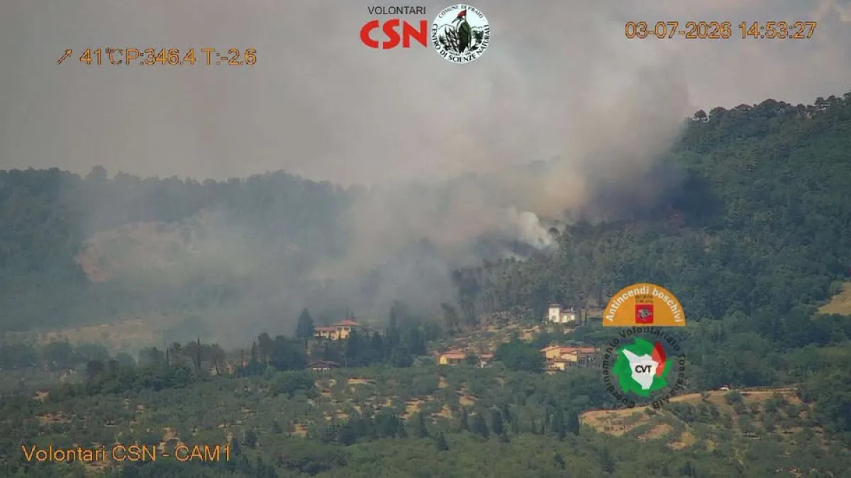 L’intelligenza artificiale fa scoprire un incendio nel bosco