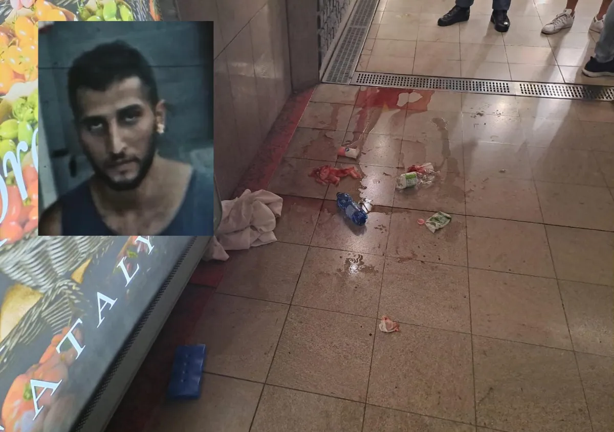 Sfregiata in metro a Milano, convalidato l'arresto di Mohammed Saidi. Il gip: "Elevata pericolosità"