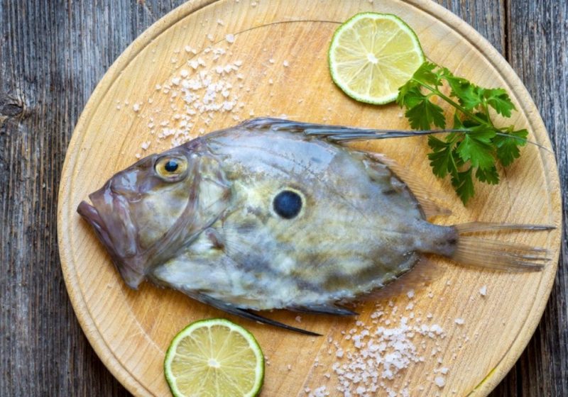 Pesce San Pietro Da 9 A 25 Euro Al Chilo Diventa Il Nuovo Lusso pesce-san-pietro-da-9-a-25-euro-al-chilo-diventa-il-nuovo-lusso