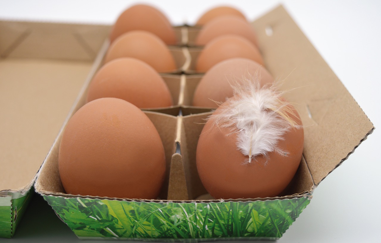 Инкубационное яйцо росс 308. Chicken egg khalyal s0, 10pcs. Egg 10. Модель яйца. Чамзинская птицефабрика яйцо.