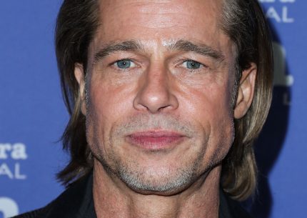Brad Pitt fine carriera
