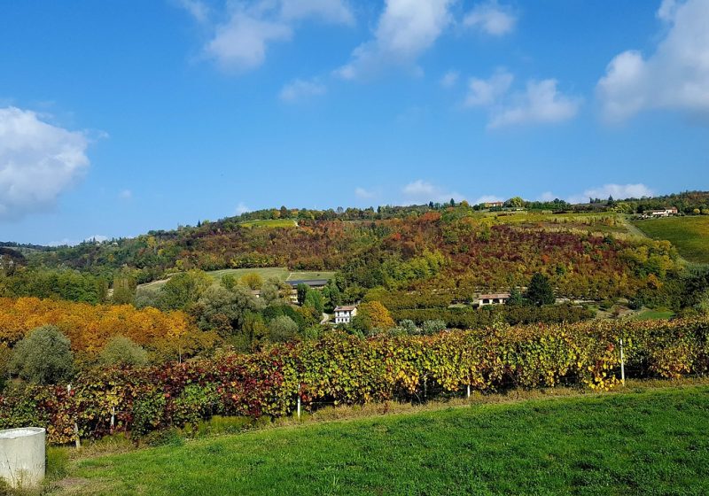 Festa del Vino del Monferrato