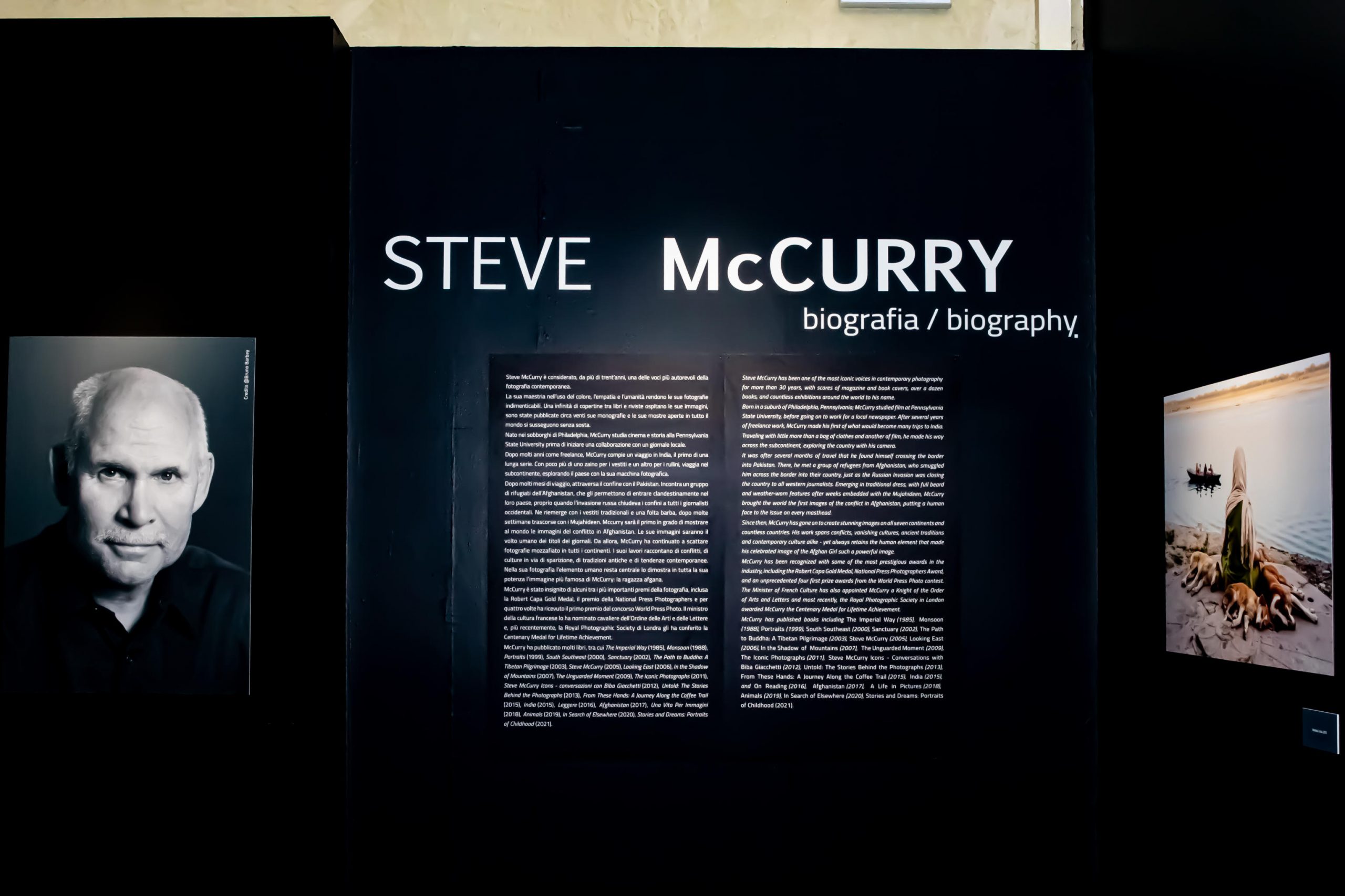Steve McCurry a Bologna tutto sulla mostra "Animals" • TAG24
