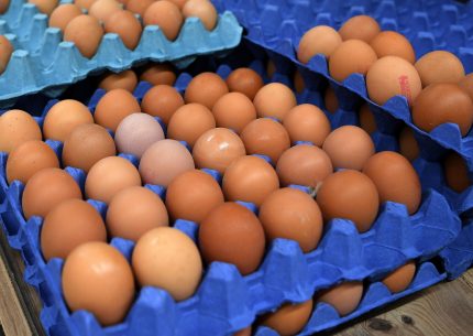 Gran Bretagna allarme uova