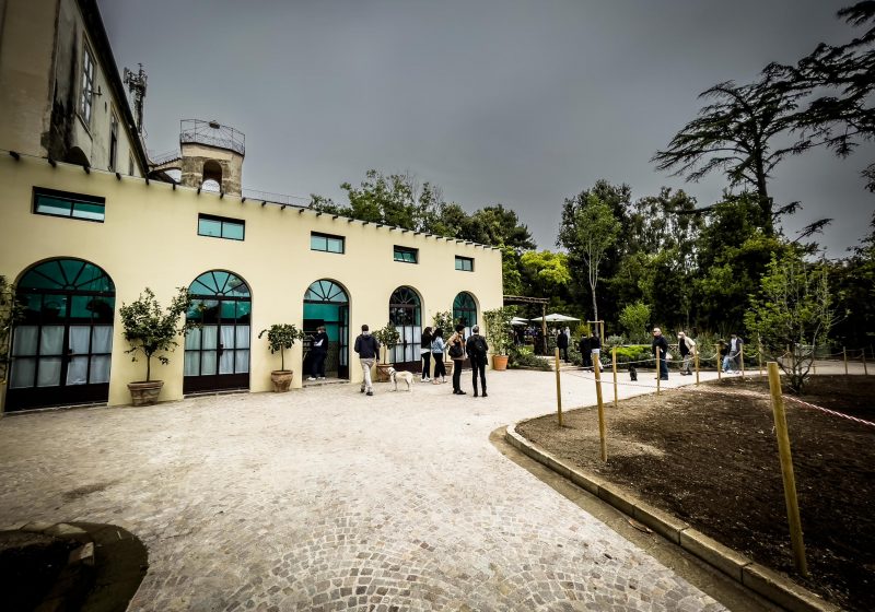 Museo e Real Bosco di Capodimonte riaprono