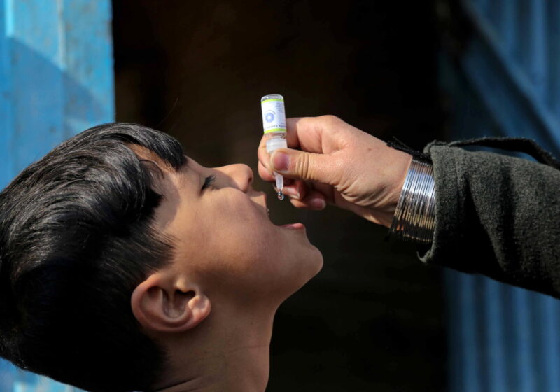 allarme oms poliomielite