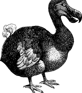 Società americana vuole riportare in vita il Dodo