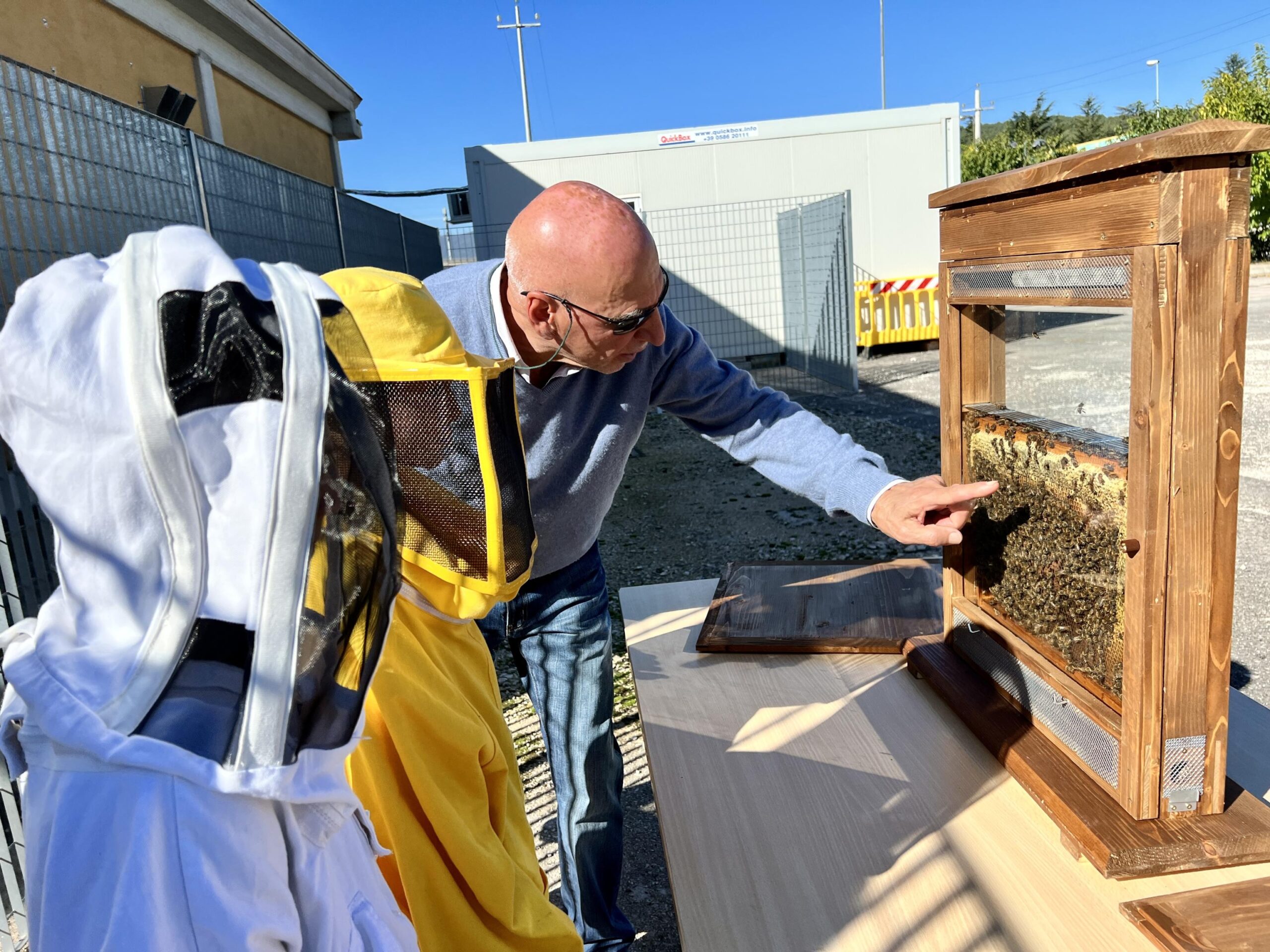 Sciame d’api uccide un uomo, tragedia avvenuta a Carbonia