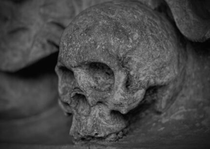 Teschio e ossa trovati in un condominio di via Isonzo a Roma