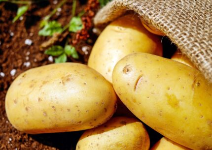 quando si piantano le patate