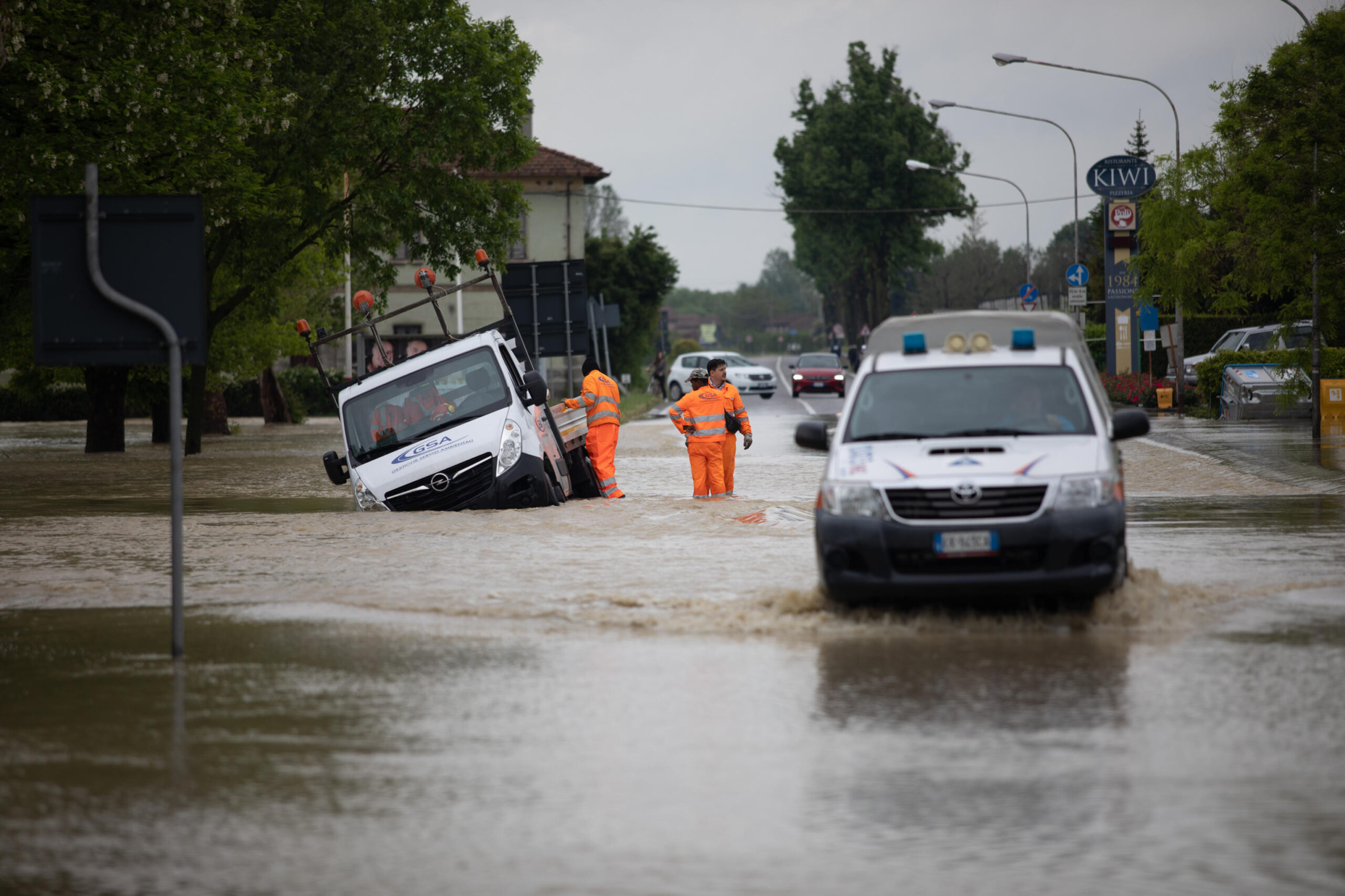 Alluvione Emilia Romagna, è colpa degli istrici?