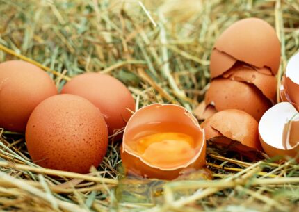 Benefici delle uova: non importa quale cottura scegliete, ma quante ne consumate. Costano niente e risolvono i pasti con poco.