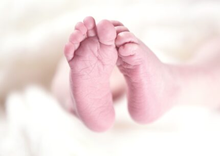 neonata culla per la vita bergamo