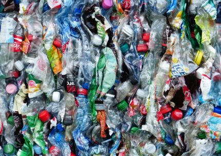 Come ridurre la plastica? Ne abbiamo parlato con Pierluigi Sassi, presidente di Earth Day, a Società Anno Zero, su Radio Cusano Campus.