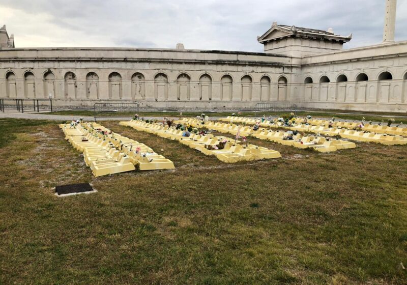 cimitero dei feti roma