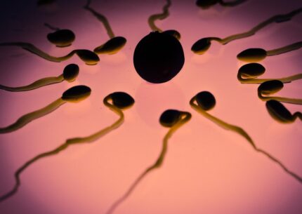 Come migliorare la qualità dello sperma