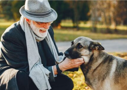 Qual è l'effetto dei cani sulle persone anziane