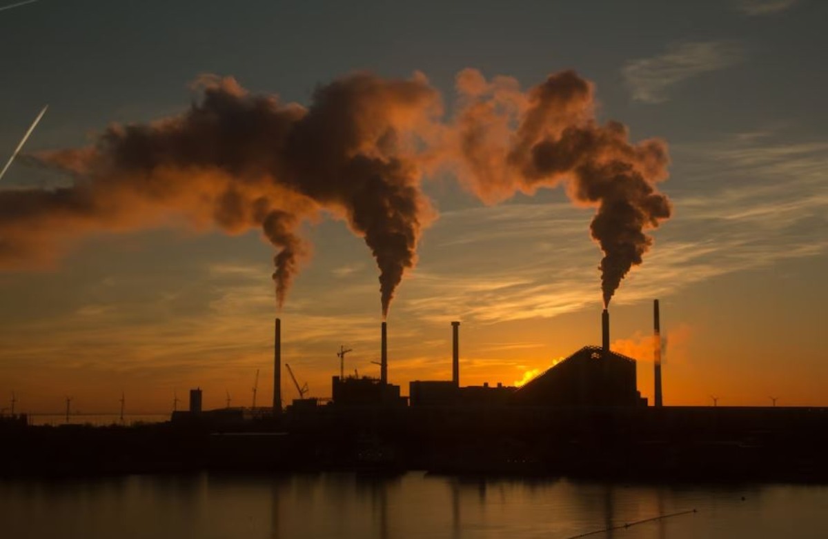 Quali sono i pericoli della diossina sulla salute e a cosa prestare...